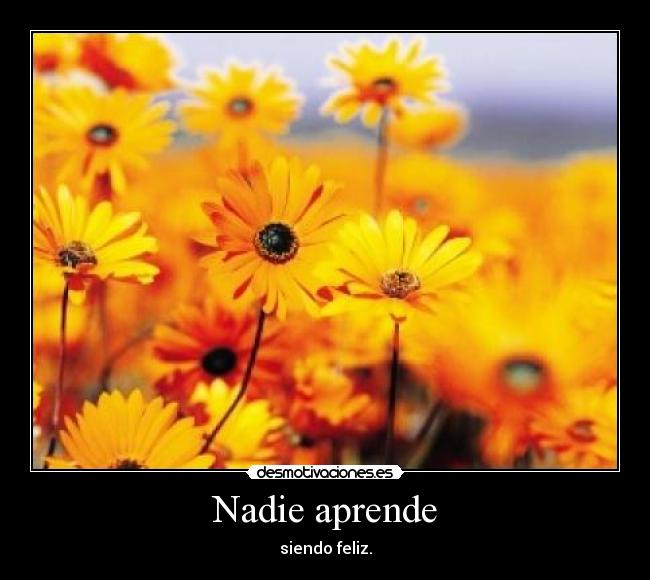 Nadie aprende - 