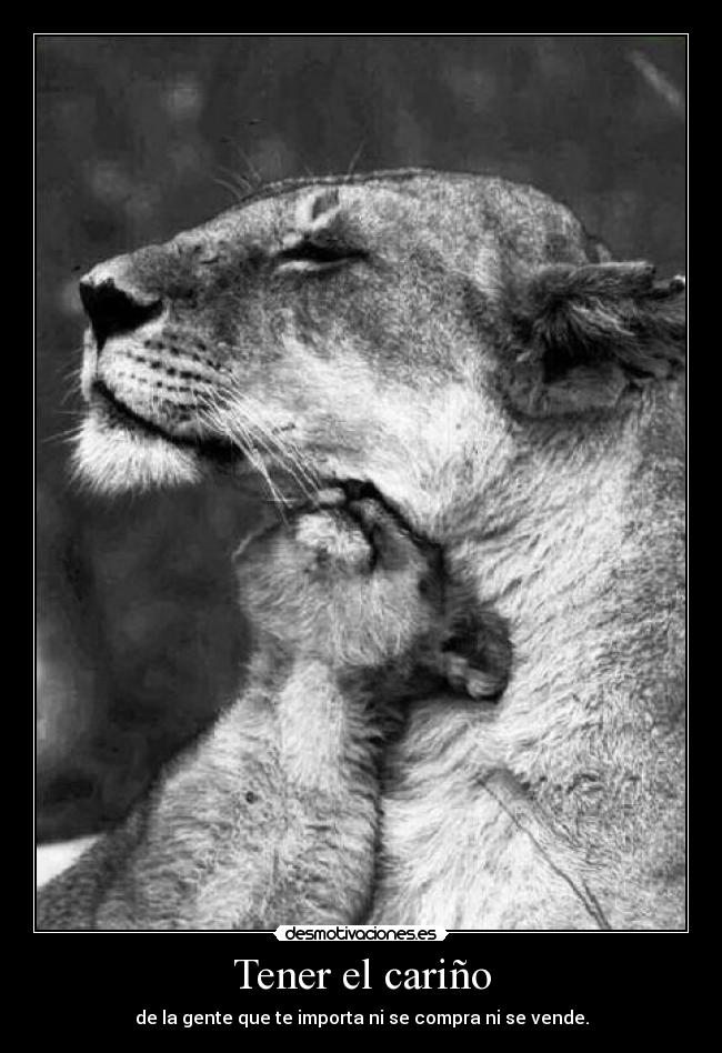 Tener el cariño -
