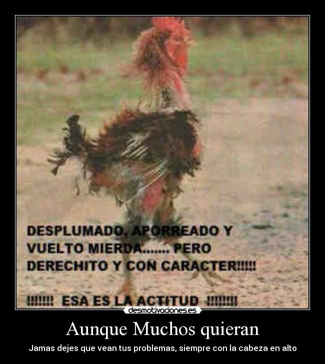 Aunque Muchos quieran - Jamas dejes que vean tus problemas, siempre con la cabeza en alto