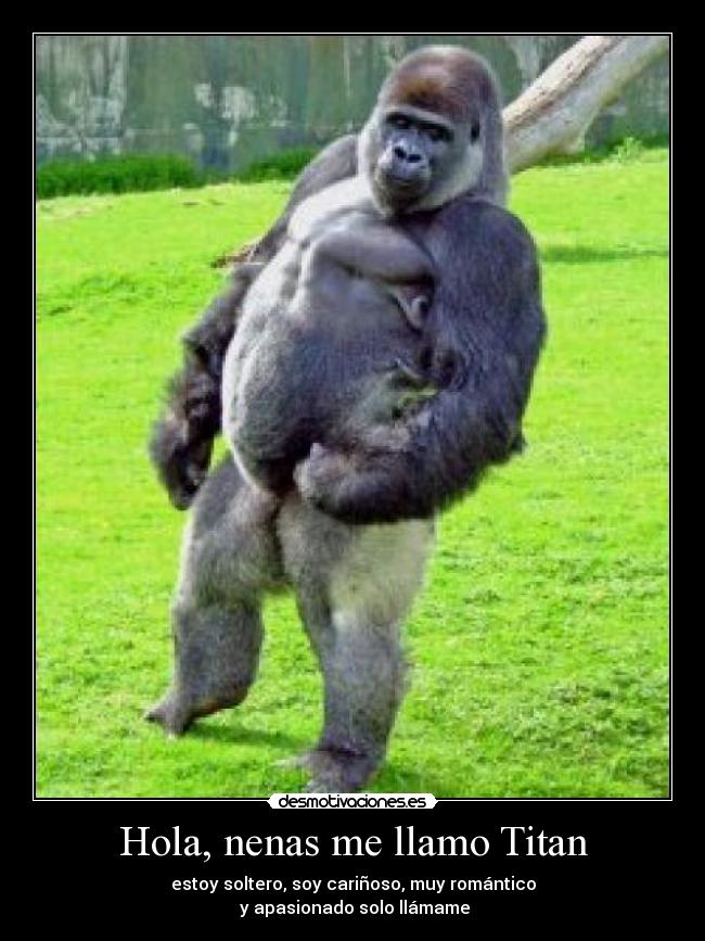 carteles alejandropaolojarazamora desmotivaciones