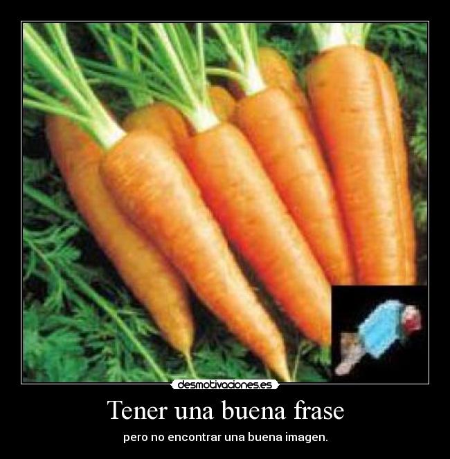 Tener una buena frase - pero no encontrar una buena imagen.