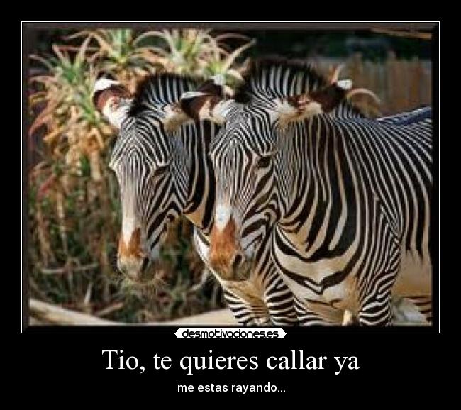 Tio, te quieres callar ya -