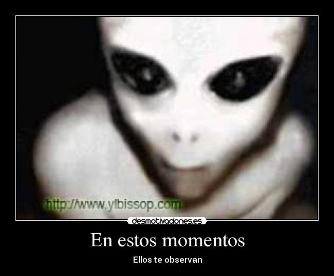 En estos momentos - Ellos te observan