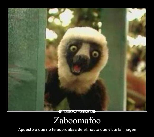 carteles zaboomafoo infancia acordarse desmotivaciones