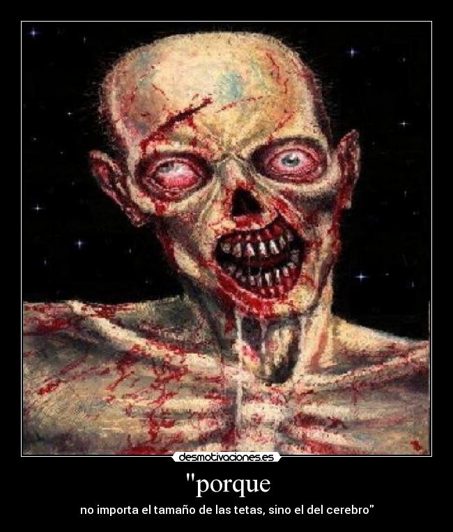 porque - no importa el tamaño de las tetas, sino el del cerebro