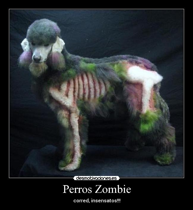 carteles perro zombie peinado raro haloween danygp desmotivaciones