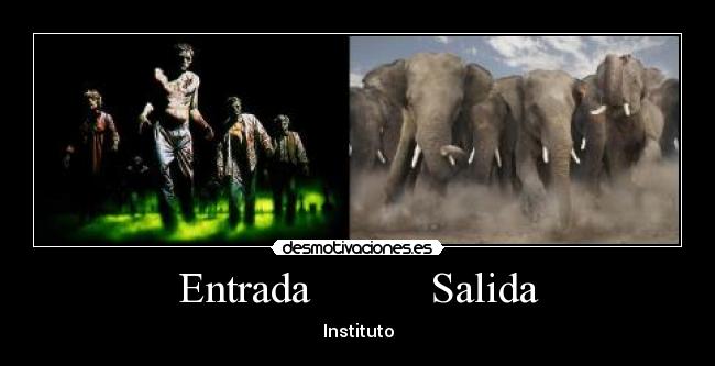 Entrada Salida - Instituto