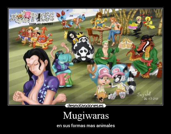 Mugiwaras -