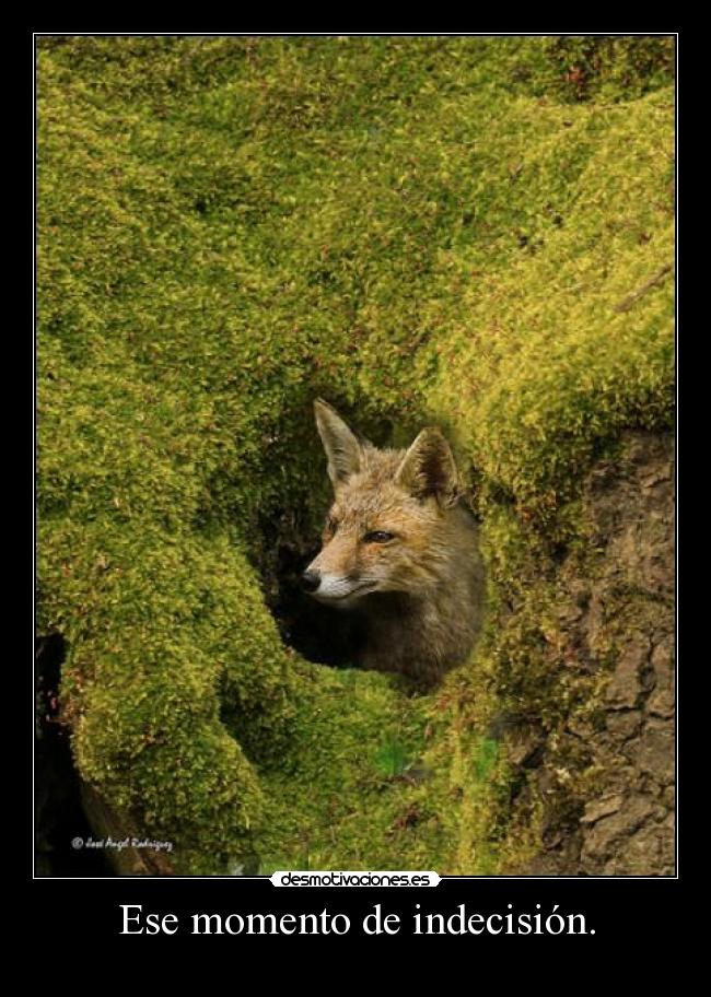 Ese momento de indecisión. -