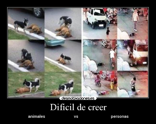 Dificil de creer - 