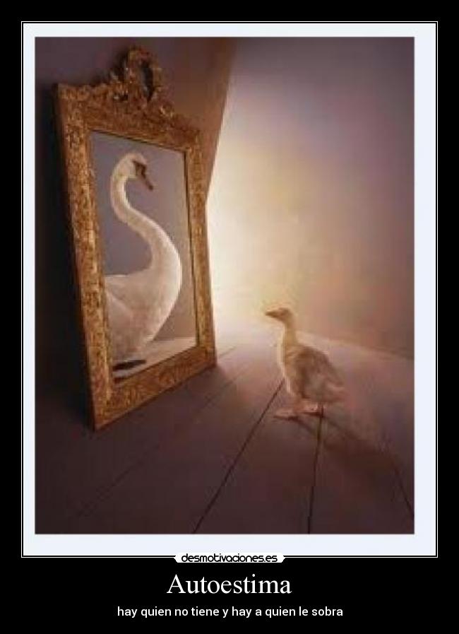 Autoestima - hay quien no tiene y hay a quien le sobra