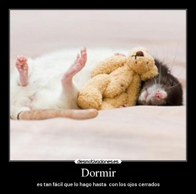 Dormir -