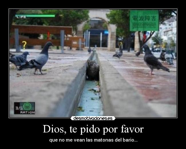 Dios, te pido por favor -