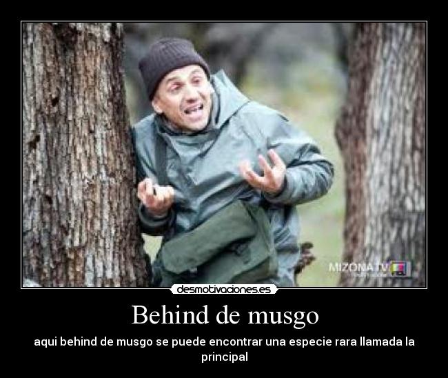 Behind de musgo -