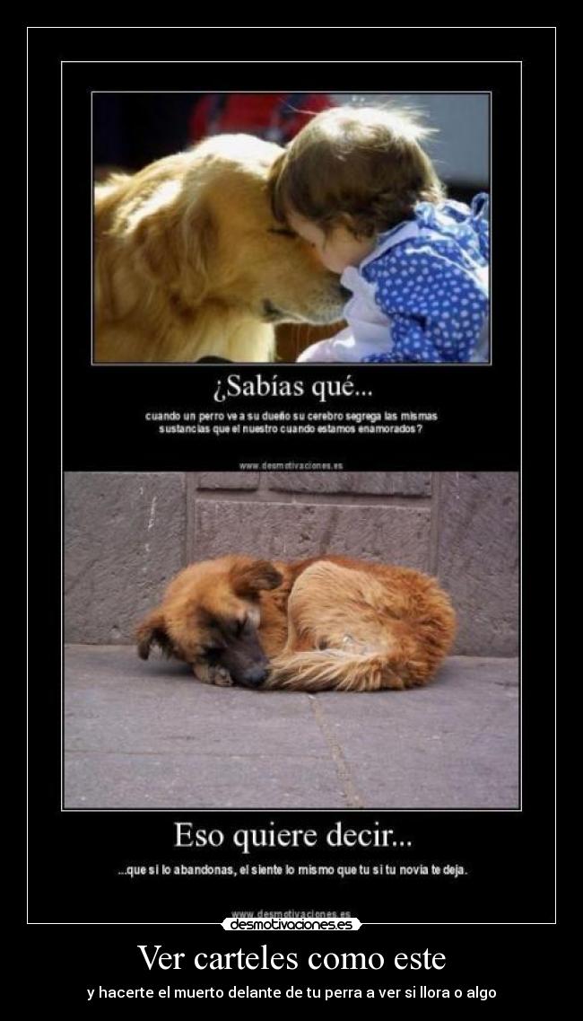 Ver carteles como este - y hacerte el muerto delante de tu perra a ver si llora o algo
