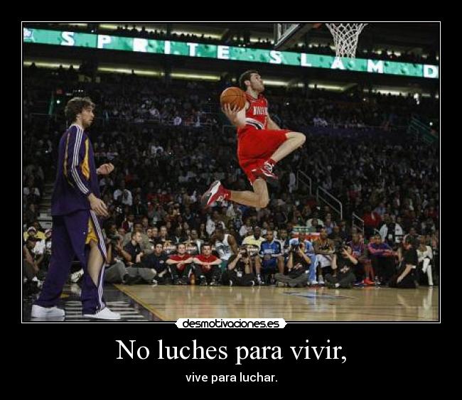 No luches para vivir, -