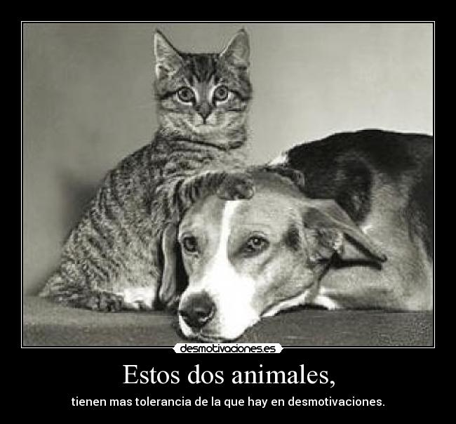 Estos dos animales, - 