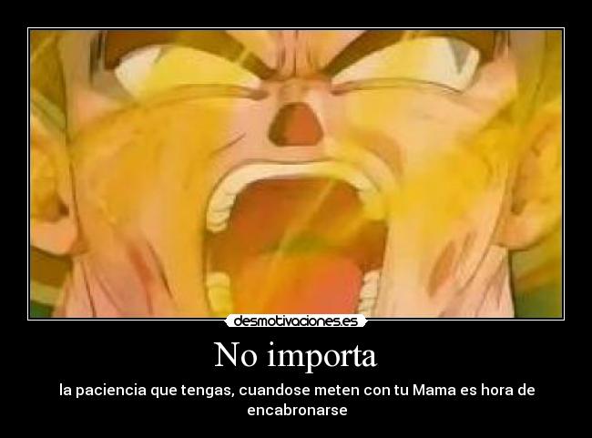 carteles papa hermanos ser querido mierda paciencia desmotivaciones