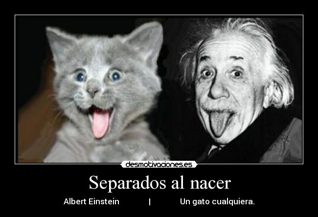 Separados al nacer - 