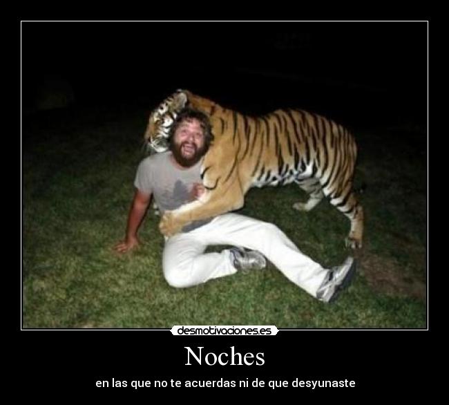 Noches - en las que no te acuerdas ni de que desyunaste