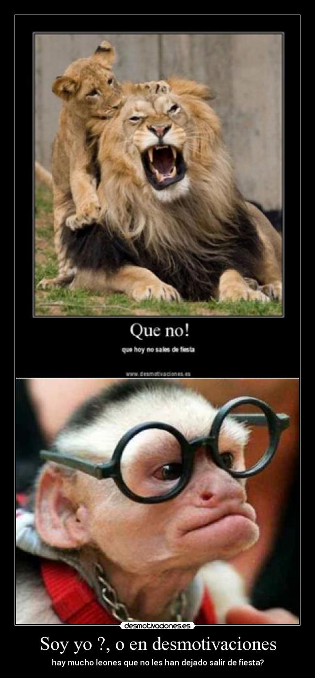 Soy yo ?, o en desmotivaciones -