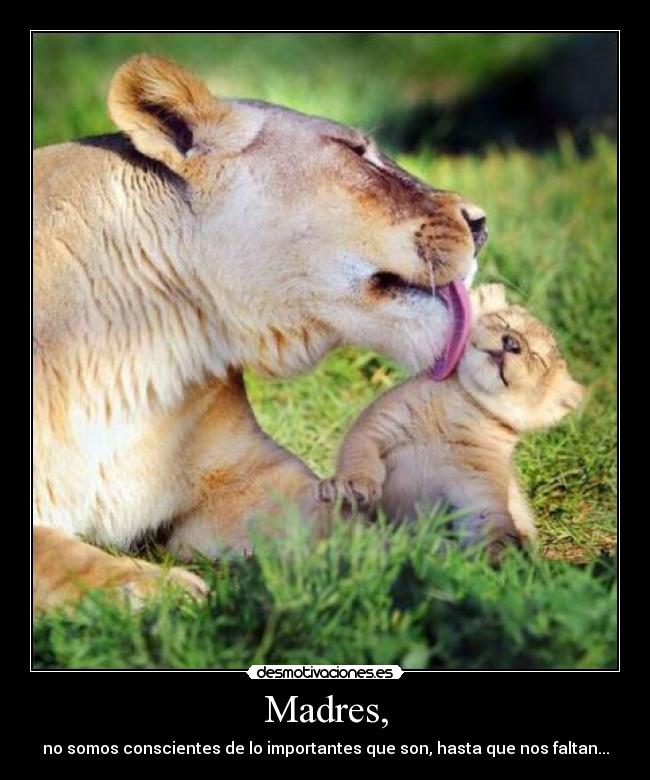 Madres, -