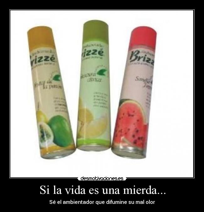 Si la vida es una mierda... - Sé el ambientador que difumine su mal olor