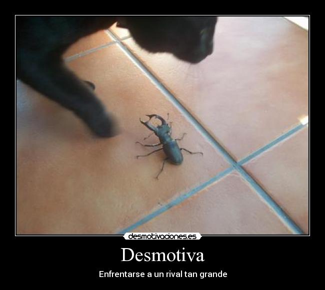 Desmotiva - Enfrentarse a un rival tan grande