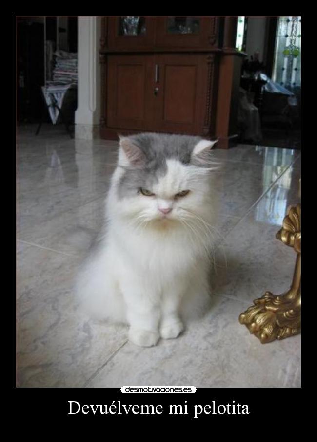 Devuélveme mi pelotita -