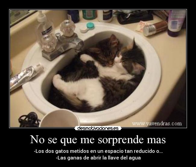 No se que me sorprende mas -