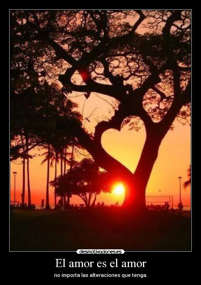 El amor es el amor - no importa las alteraciones que tenga.