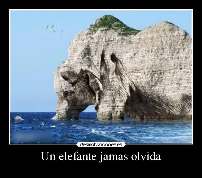 Un elefante jamas olvida -