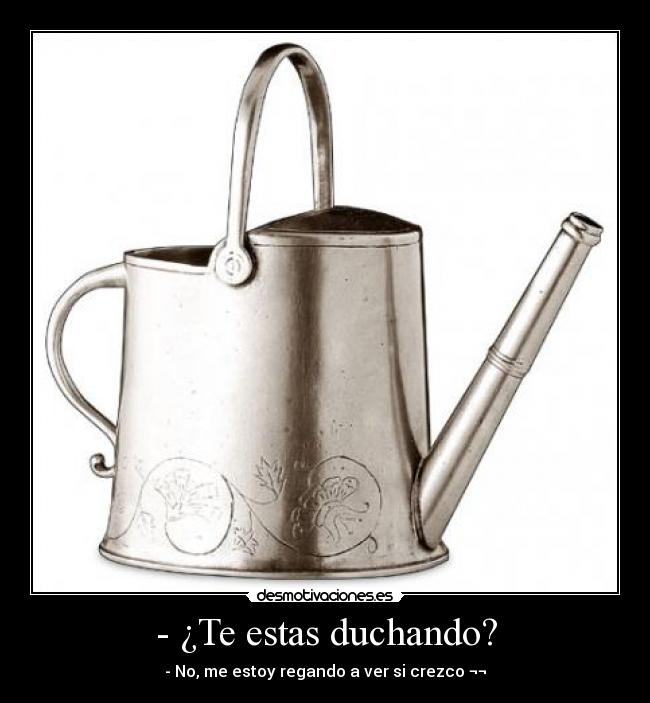 - ¿Te estas duchando? - - No, me estoy regando a ver si crezco ¬¬