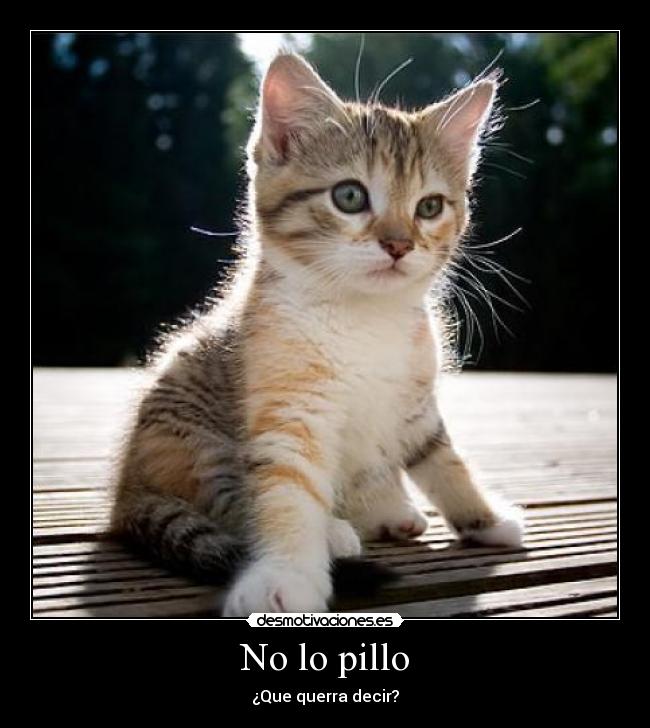 No lo pillo - 