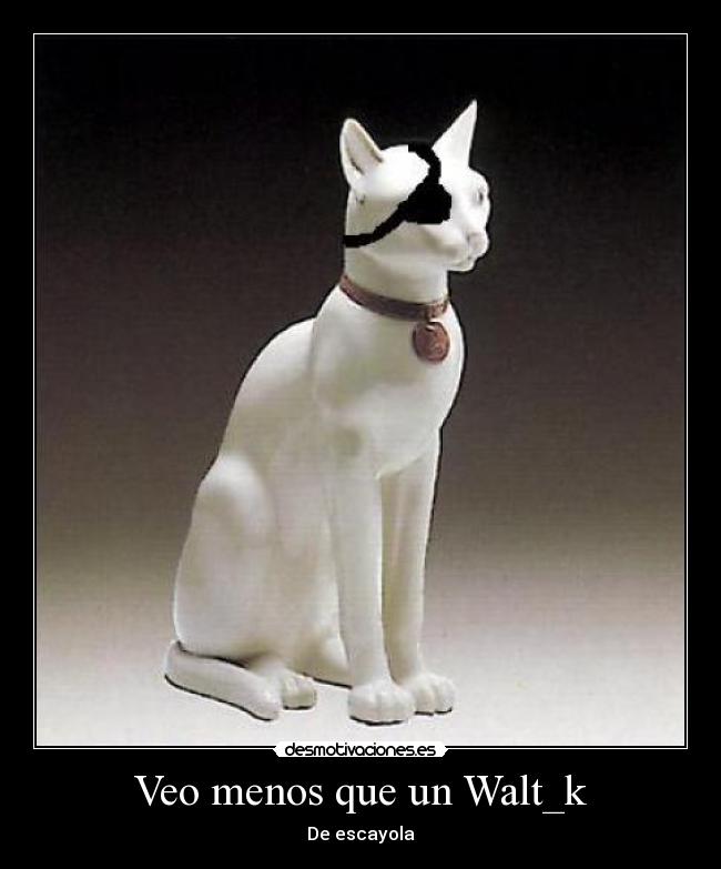Veo menos que un Walt_k - 