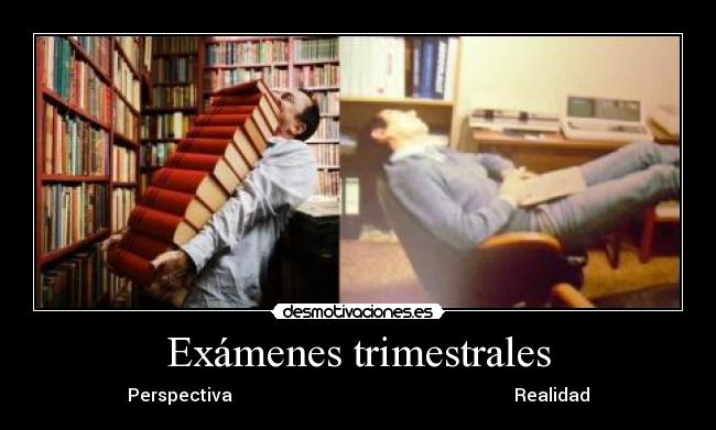 Exámenes trimestrales - Perspectiva                                                                Realidad