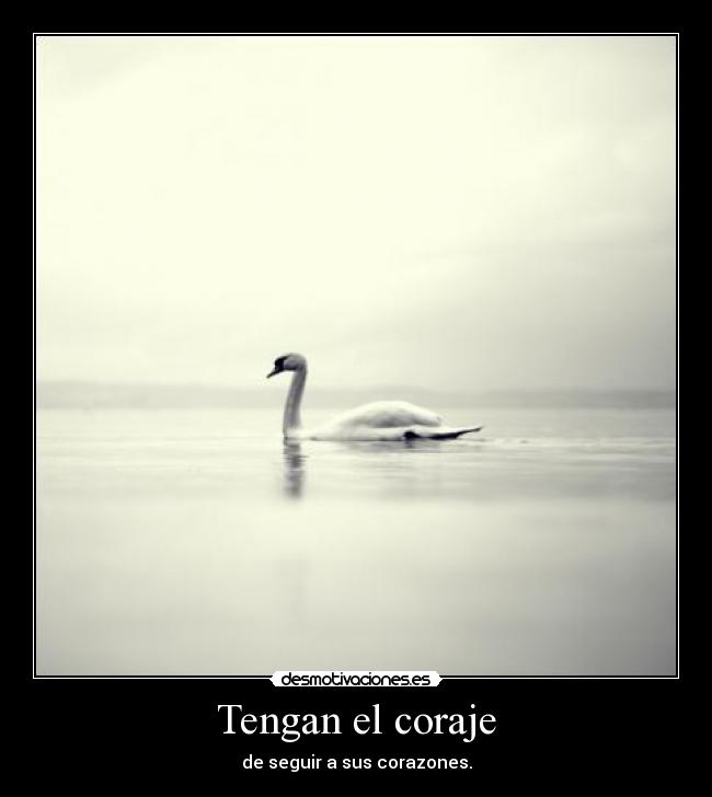 Tengan el coraje - de seguir a sus corazones.