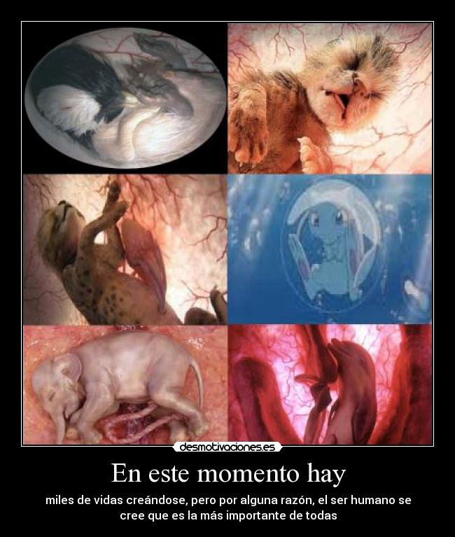 En este momento hay - 