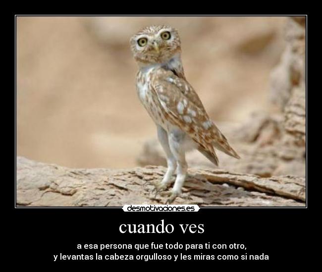 carteles cuando ves desmotivaciones