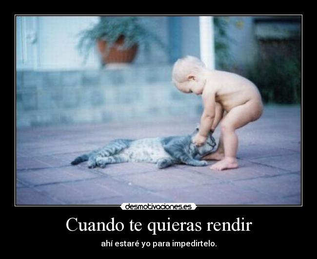 carteles rindas gatito desmotivaciones