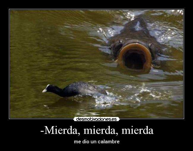 -Mierda, mierda, mierda -