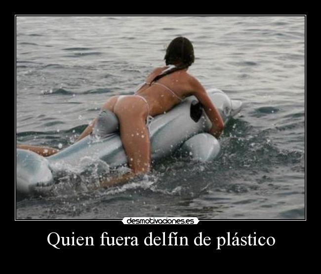 Quien fuera delfín de plástico -