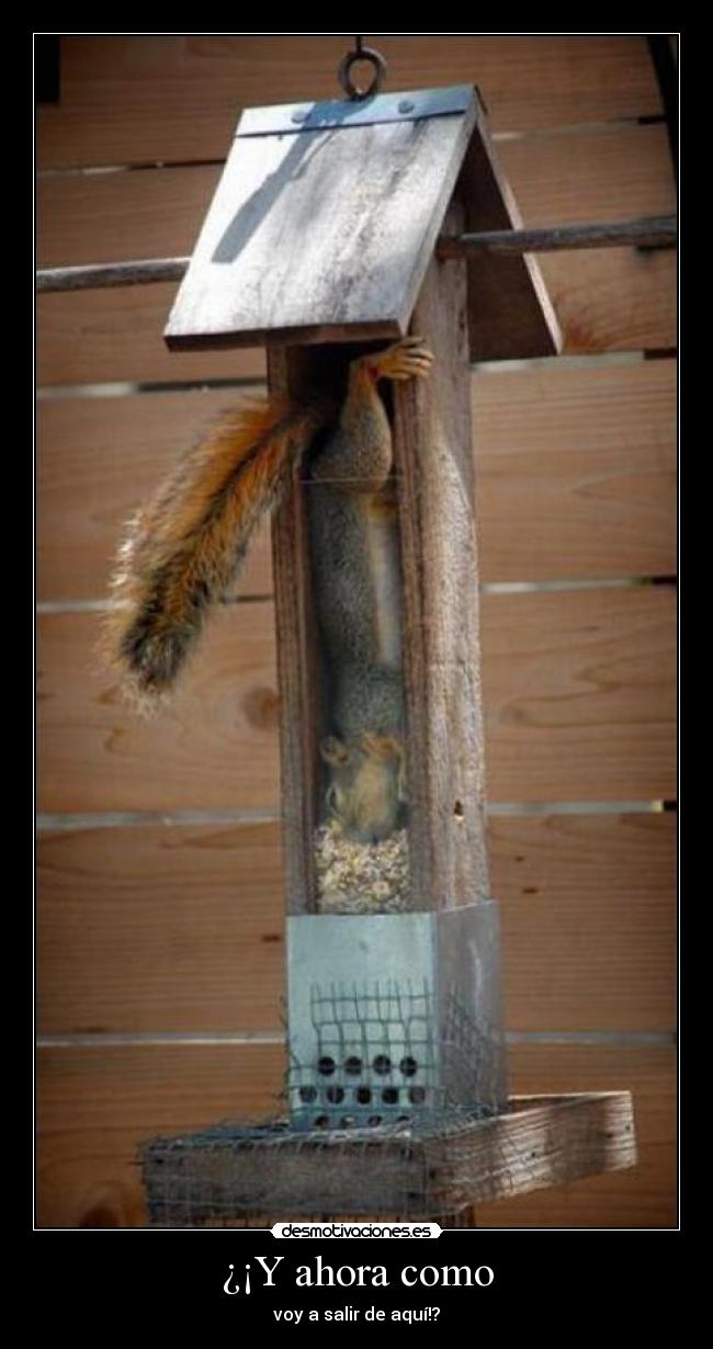 carteles ahora desmotivaciones