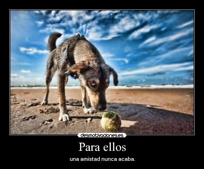 Para ellos - una amistad nunca acaba.