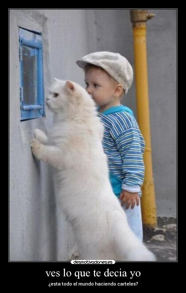 ves lo que te decia yo -