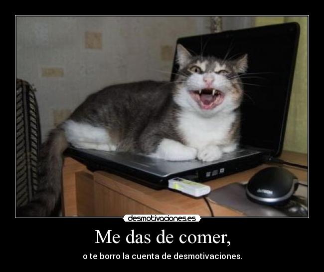 Me das de comer, -