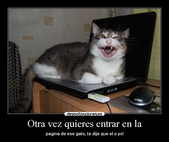Otra vez quieres entrar en la - 