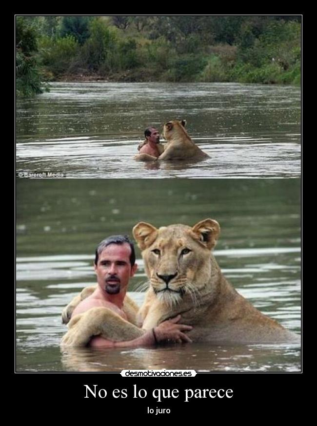 No es lo que parece - lo juro