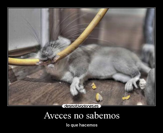 Aveces no sabemos - 