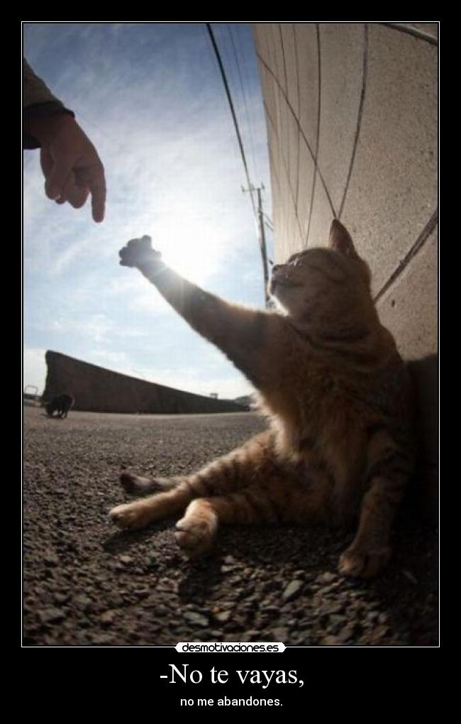 -No te vayas, - no me abandones.